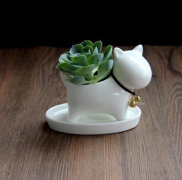 Plantador suculento de pote de cerâmica com furo de drenagem Forma de cachorro branco cachorro pequeno desktop decorativo casa e decoração de jardim