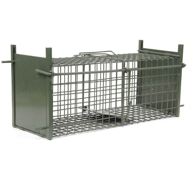 Trappola per il controllo dei parassiti della gabbia per animali domestici Cat Dog Attirali all'interno Mantieni al sicuro Strumento di cattura di grandi dimensioni Robusto stile a rete metallica 160 cm 120 cm 100 cm 50 cm Cattura viva per la casa domestica