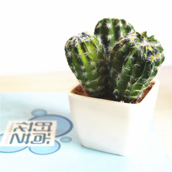 

artificial succulent cactus ball bonsai fake plant flower home floral desk home decor