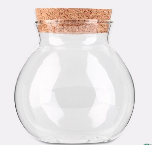 

new arrival cute design tea coffee sugar glass canisters flower plant vase pot home decoration party transparent beauty