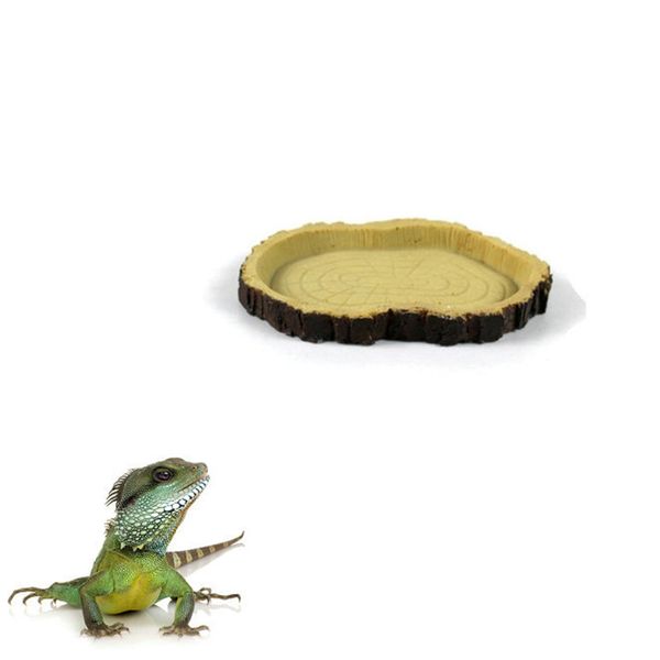 

reptile water dish food tray bowl pool amphibians tortoise snake lizard