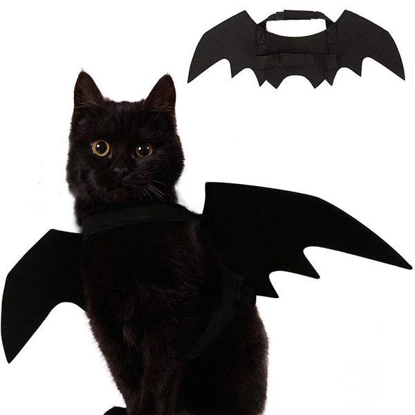 

cat costume halloween pet bat wings cat dog costume