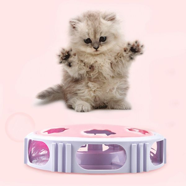 

2x funny kitten dog teaser pet cat relief boredom toys for small kitty