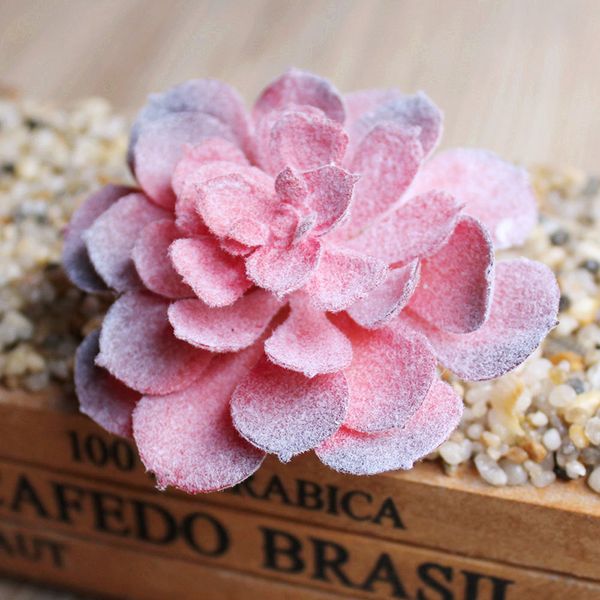 

искусственные суккуленты завод поддельные кактусы бонсай домашний сад украшения пейзаж