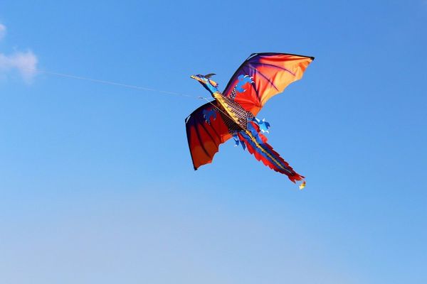 

new classical dragon kite 140cm x 120cm single line with tail with handle and line good flying kites from hengda