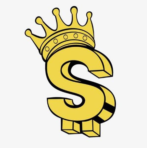 

just the link for customers to make payment, Slivery;white