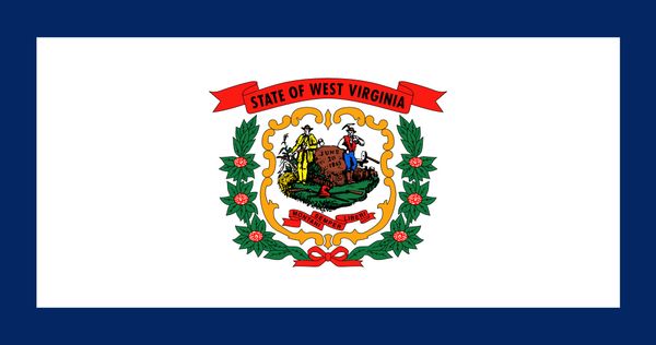 

drop shipping american west virginia copy state flag 3x5ft usa polyester flag banner white sleeve and two grommets