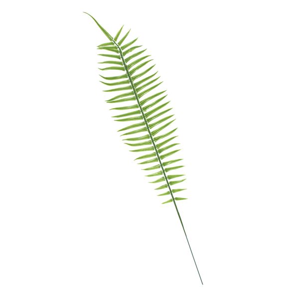 

fake plants fern green leaf home garden decor