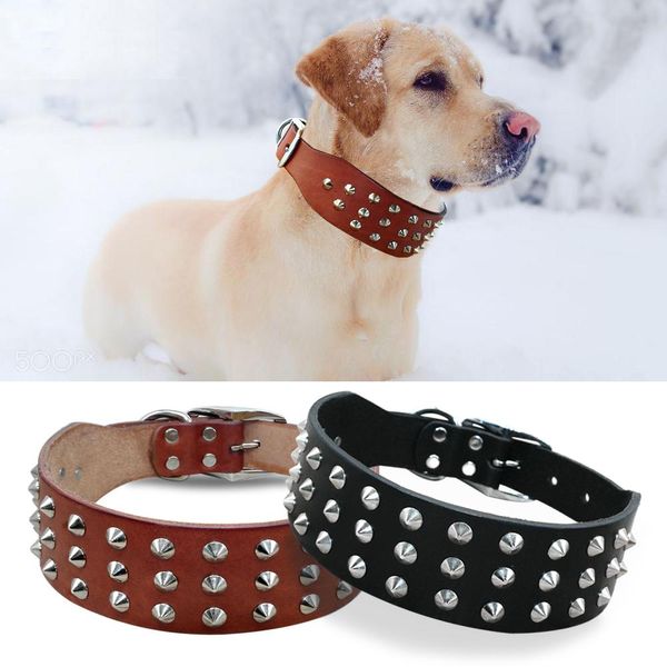 Coole Nieten mit Nieten, bestes Echtleder-Hundehalsband für kleine, mittelgroße und große Hunde, Schwarz, Braun, Boxer, Bulldogge, Pitbull, XS, S, M, L