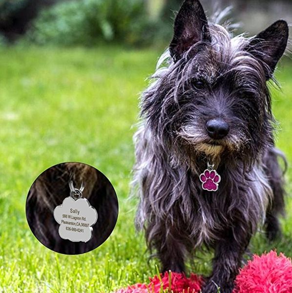 

персонализированные бирки собаки выгравированные кошка щенок pet id имя ошейник бирка кулон аксессуары для домашних животных нержавеющая ста