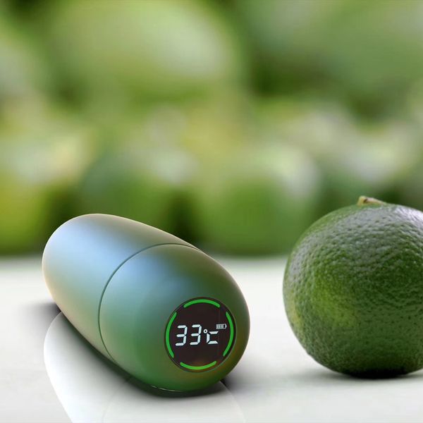 

smart bottle, food grade stainless steel vacuum insulated, lcd touch screen temperature indicator, drinking reminder, keep heat&cold green