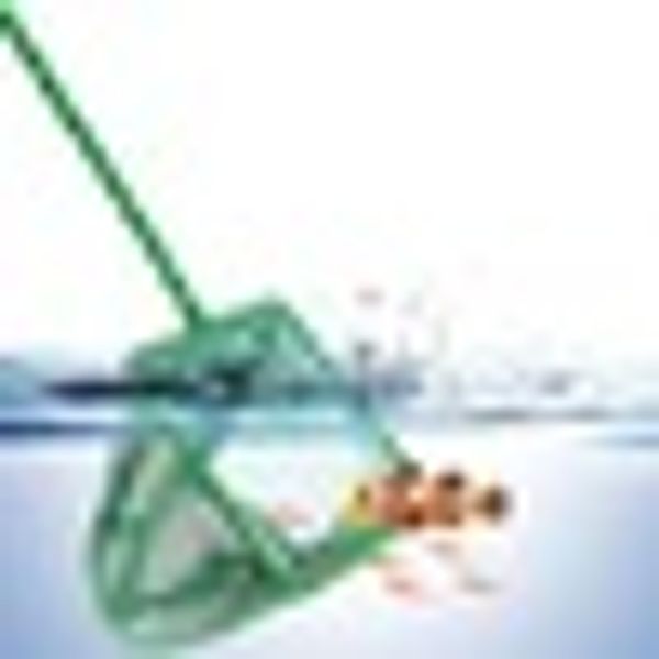 

5 sizes useful portable long handle square aquarium fish tank fishing net green landing net for various kinds of fish
