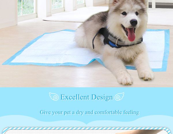 

2020 new disposable pet dog diaper absorbent pet antibacterial deodorant instant absorption dry leakage proof pad