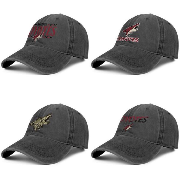 arizona coyotes vintage hat
