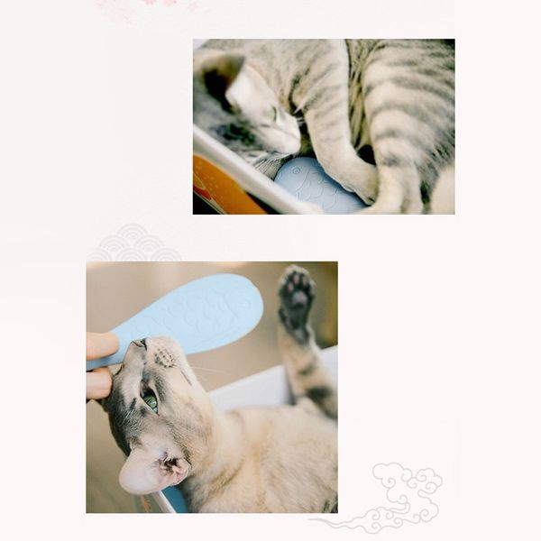 

cat hair tongue comb massage daily care grooming brush gifts for cats other cat supplies