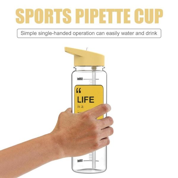 

new fashion water bottle quote sports water bottle with time marker+straw lid transparent pipette design for outdoor