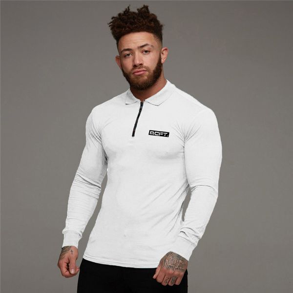 

spring mens polo shirt new brand clothing pure cotton men business sports male polo shirt long sleeve breathable soft fitness polo shirt, White;black