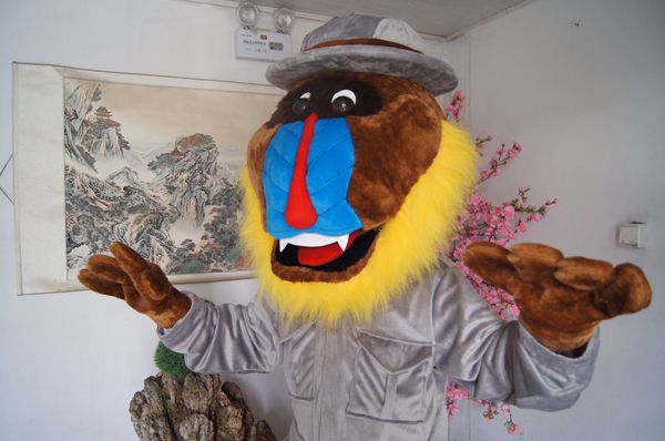 

mandrill mascot costume character costume size ing, Red;yellow