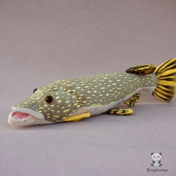 

cute pikes doll toy marine animals amur pikc children's educational real life soft plush toys store