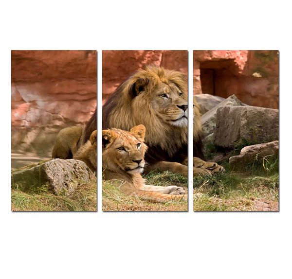 

3 panels modern fantasy animal awesome lion landscape print painting canvas wall art gift picture office living room home decor hyp-a1116