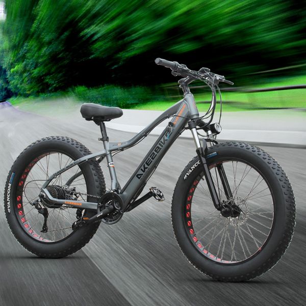 

26inch electric mountain bicycle 48v500w fat ebike 4.0 snow tire electric bike beach snow e-bike, Silver;blue