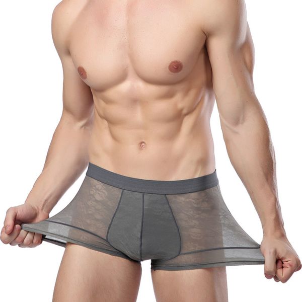 

men's mesh transparent boxer briefs hollow men's underwear, Black;white