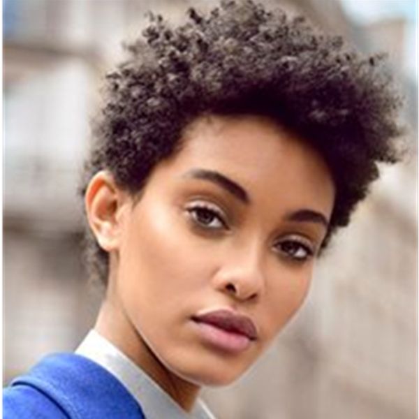 Short Human Hair Capless Wigs Human Hair Afro Kinky Curly Pixie