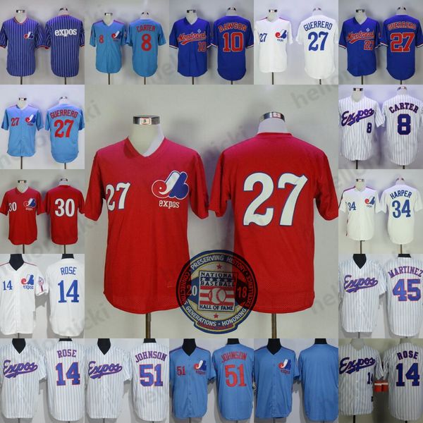 pedro martinez jersey