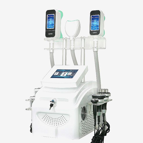 

профессия 2020 машина cryolipolysis 360° сенсорный охлаждая cryolipolysis уменьшая тучный замерзая уменьшая ce бесплатная доставка dhl