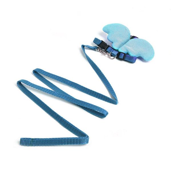 

маленькие собаки жгут и поводок набор крыла стиль домашняя кошка жилет проводов щенка любимчика собаки жилет прогулки поводок ведущий для йо