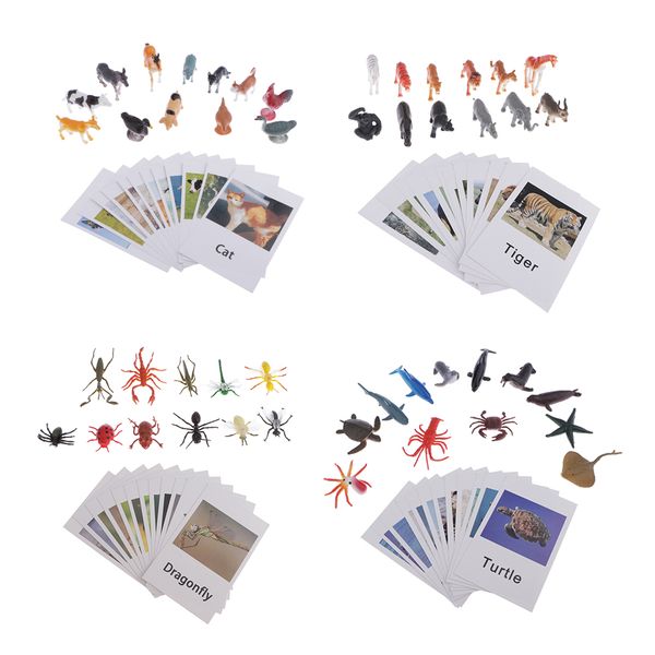 

48pc education insects animals model card toy kids children matching card