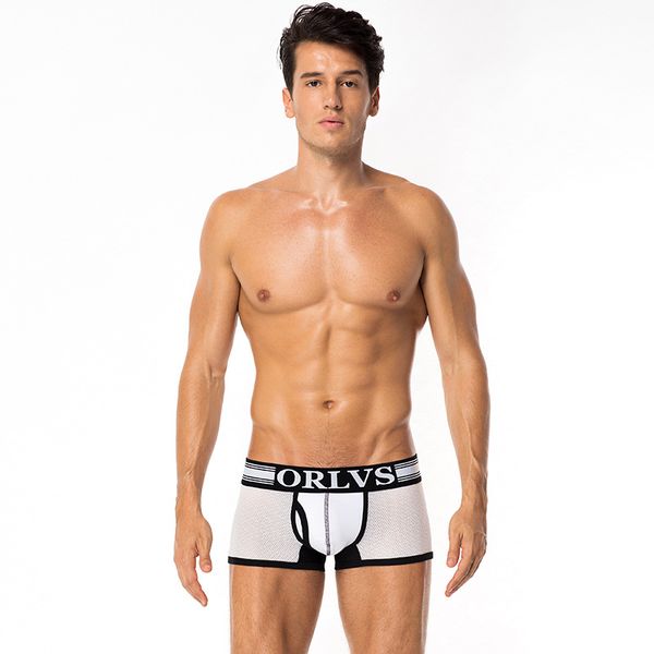 

mesh quadrangle man underwear men's cotton flat pants man boxers with bag packing, Black;white