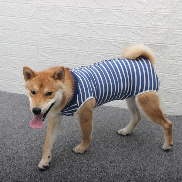 

dog recovery suit puppy medical care suit clothing and after surgery wear anti licking wounds help post operative healing