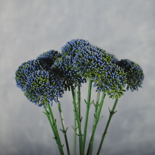 

Flores & Vegetação nancyfw