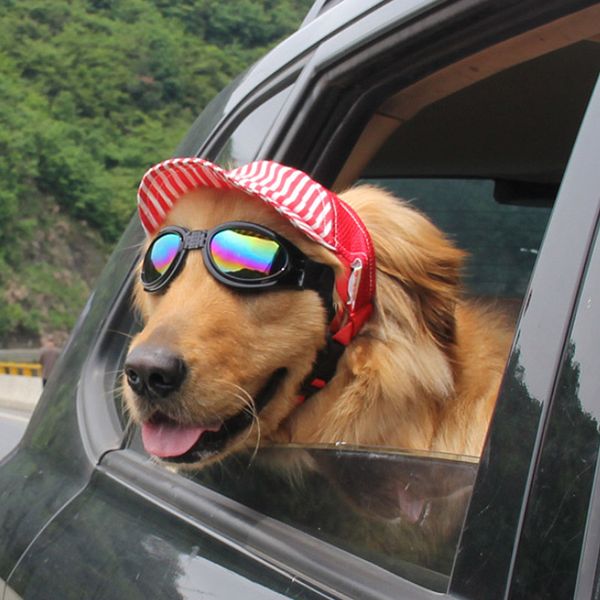 

pet dog hat baseball cap windproof travel sports sun hats for puppy large dogs costume grooming headwear pet supplies