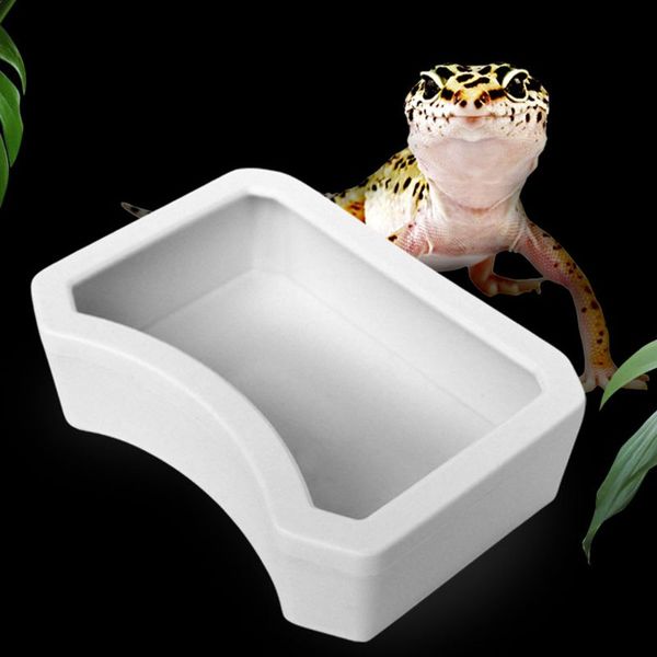 

reptile feeder water food feeding plastic bowl 3 size turtle lizard snake basin