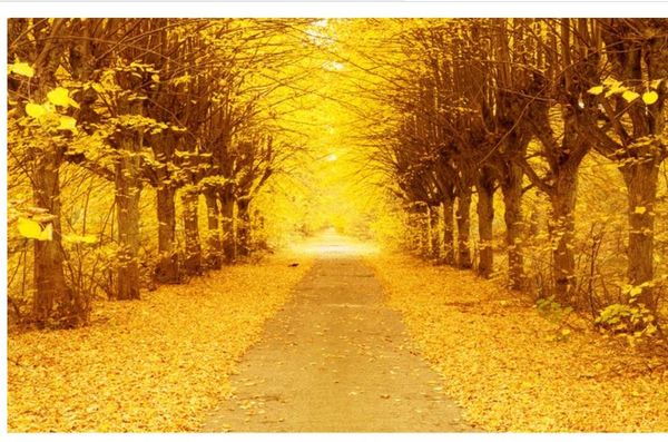 

golden autumn gold tree 3d tv background wall modern wallpaper for living room