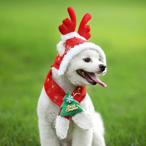 

dog cat caps pet santa hat birthday scarf and collar bow tie christmas costume for puppy kitten small cats dogs pets accessories