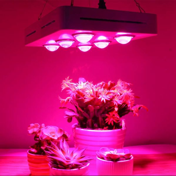 900 W COB LED Wachsen Licht 100-265 V Volle Spektrum 6*150 W Chip Wachsen Lampe Für innen wachsen Zelt Pflanzen Blume