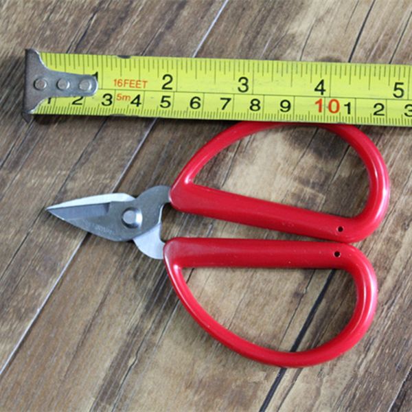 

stainless steel eyebrow scissor eyebrow trimmer eyebrow eyelashes nose scissor manicure scissors cutter nail makeup tool f2948