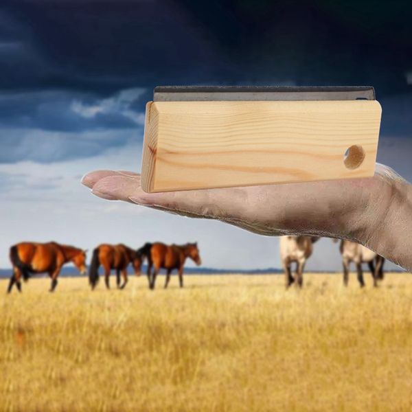 

equestrian horses wood groomer brush scraper pet hair removal tool no hurt dogs cats and horses