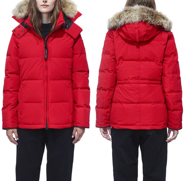 

dhl goosewomen зимни пало вниз веѬовки оловка 2020 wolf Ѭеалн меов кђѬок молн Black