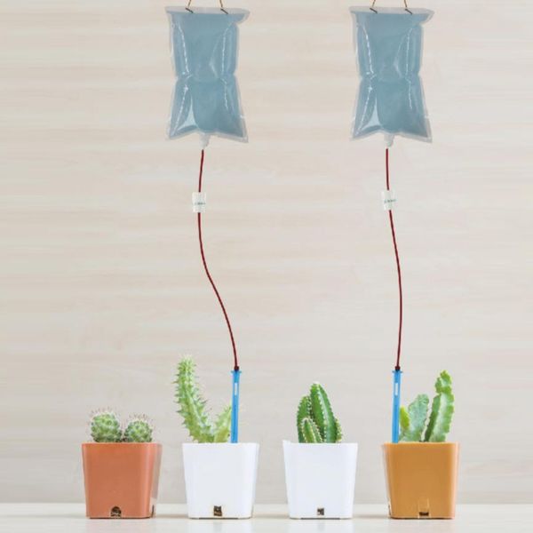 

drip device gardening 2l indoor lazy planting watering bag plastic patio actual plant irrigation bag drop shipping