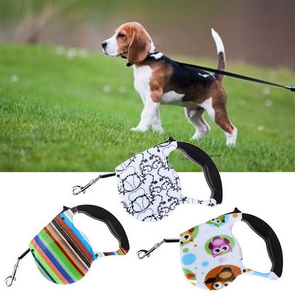 

5m pet leads print automatic retractable leashes colorful walking dog retractable leash for dog puppy traction rope walking lead