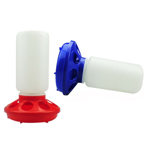 

poultry chicken drinking feeding tools redblue plastic feeders quail feed bucket poultry farming animals equipments new pet supplies