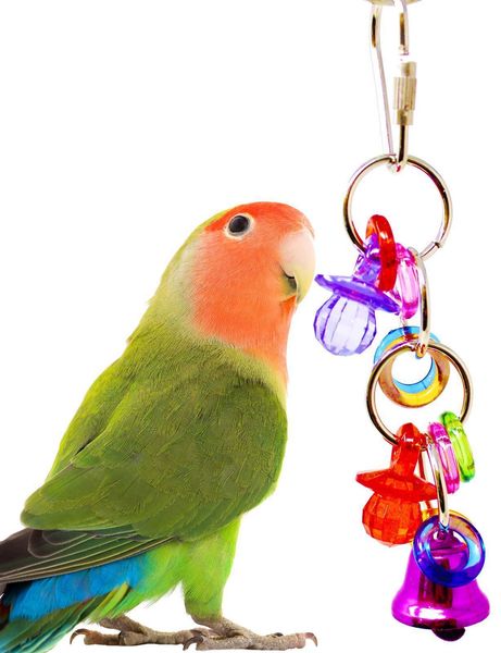 

parrot gnaw toys bird toys second gram force nipple gnawing string
