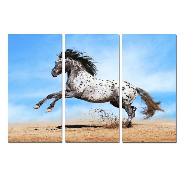 

3 panels animal running horses print painting canvas poster picture wall art gift modern home decor office living room decorations hyp-a1052
