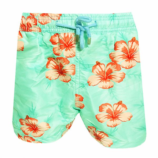 

vanquish vilebrequin мужские пляжные шорты vilebrequ шорты бренда купальники осьминога морская звезда vq черепаха печати мужской купальный ш