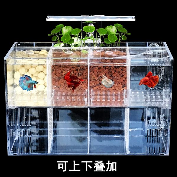 

betta fish tank guppies breeding hatching isolation box acrylic special group row cylinder live deskecological creativity other aquarium