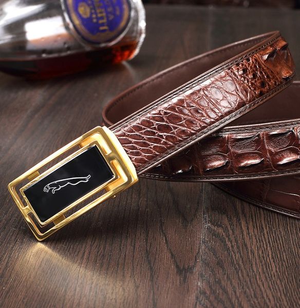 

hujingsha нового крокодила кожаного ремня кожаного ремень людей крокодилова кожи человек пояс, Black;brown